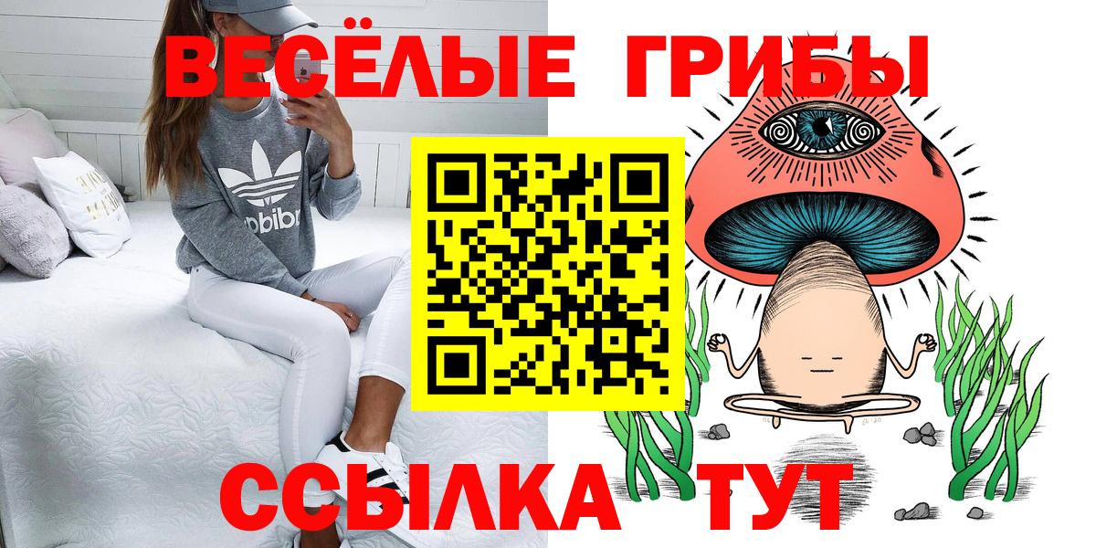 Галлюциногенные грибы Psilocybe  Вход с VPN  Рузаевка 